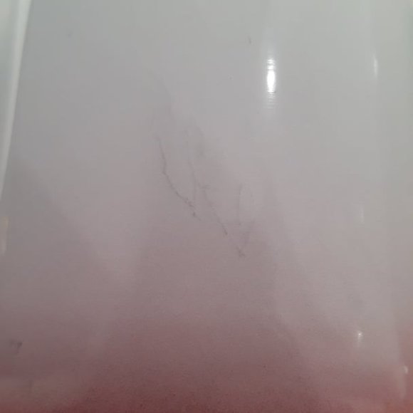 SET OF 2 STAINLESS BEVERAGE CUPS WITH LIDS - BRAND NEW - Picture 4 of 4